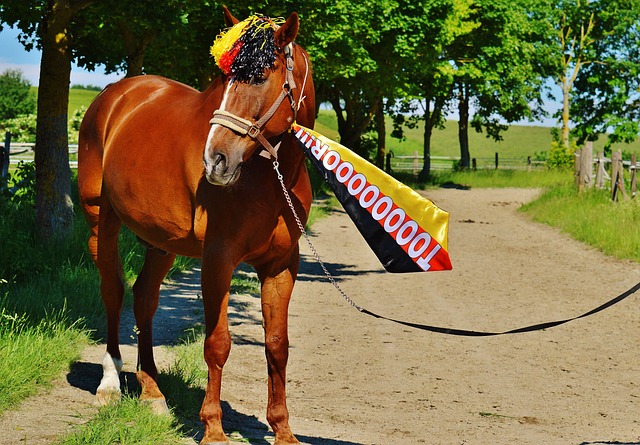 中場球員 中場球員