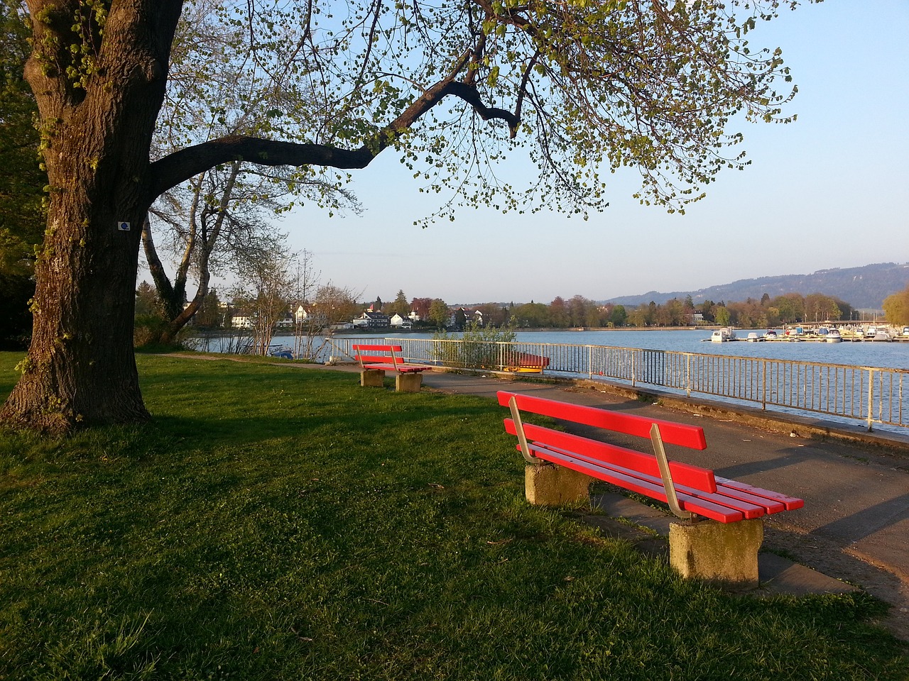 太阳是否能 太阳是否能