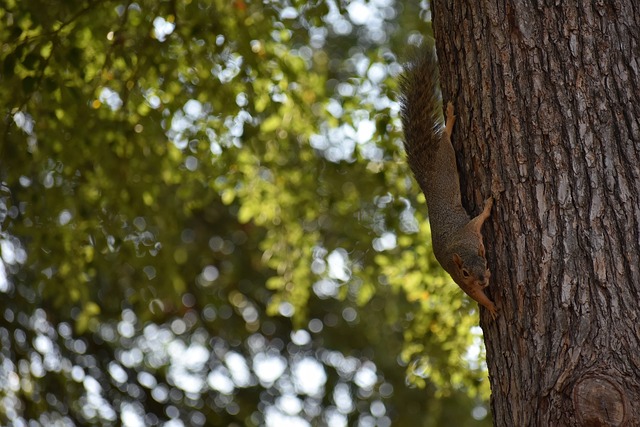 我们或许会 我们或许会