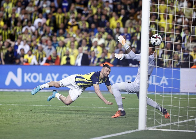 的本土发展 的本土发展