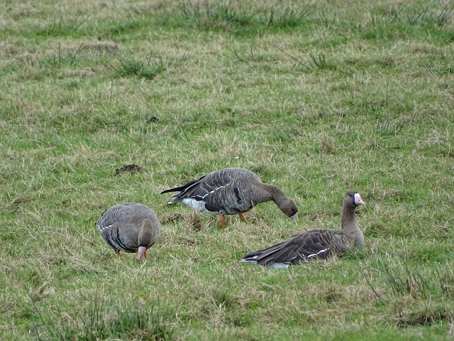 量客户咨询 量客户咨询