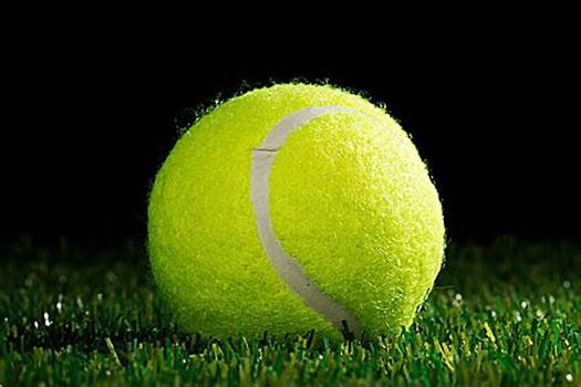 尘埃落定 尘埃落定