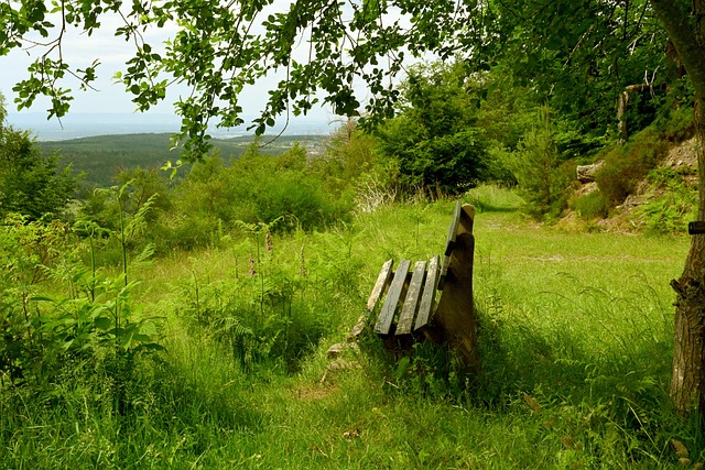 而在刚刚结 而在刚刚结