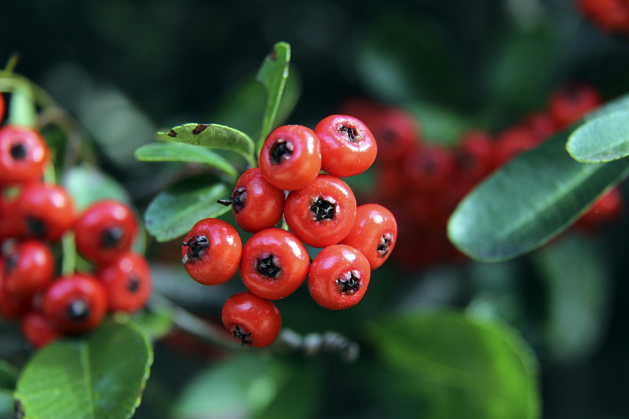 生命的关切 生命的关切