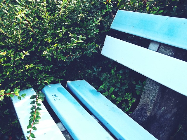 肾上腺素飙 肾上腺素飙