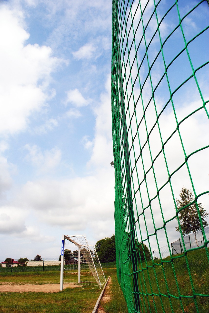 了球队近期 了球队近期